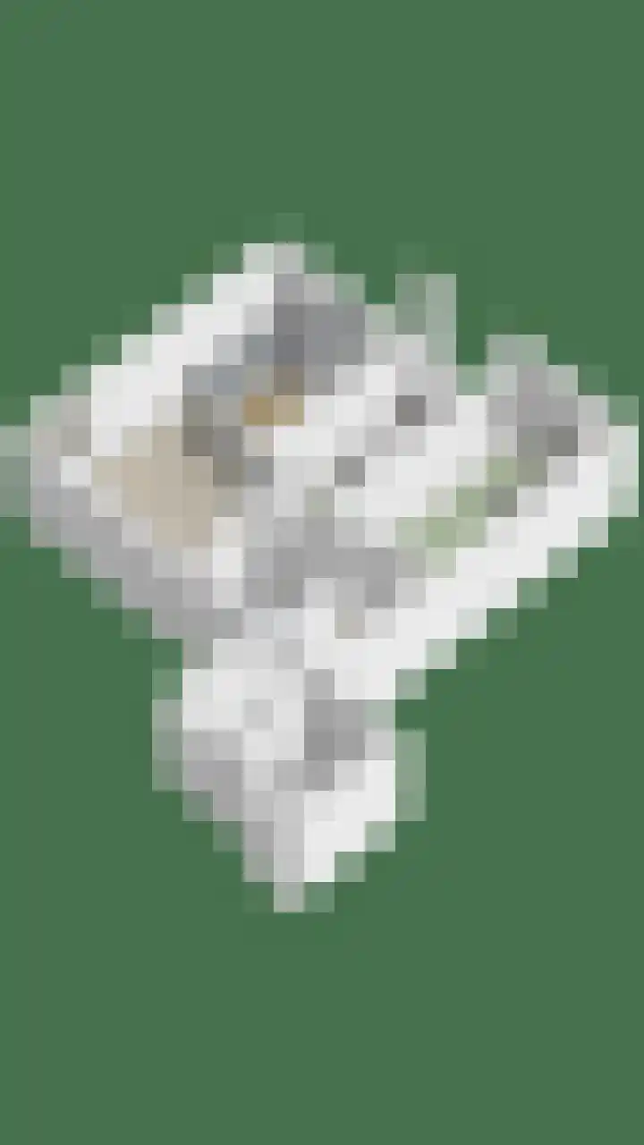 Wilhelminastraat 205 Uden thumbnail 31