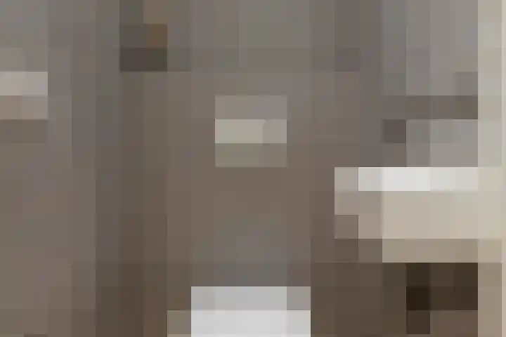 Wilhelminastraat 21 1 Amsterdam thumbnail 17