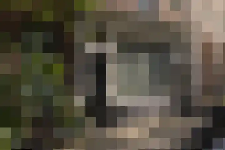 Wilhelminastraat 21 1 Amsterdam thumbnail 28