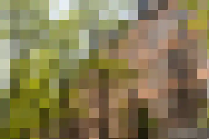 Wilhelminastraat 21 1 Amsterdam thumbnail 30