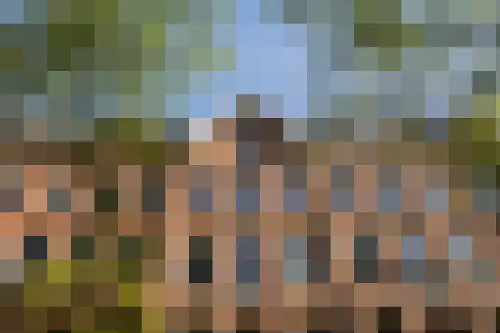 Wilhelminastraat 21 1 Amsterdam thumbnail 31