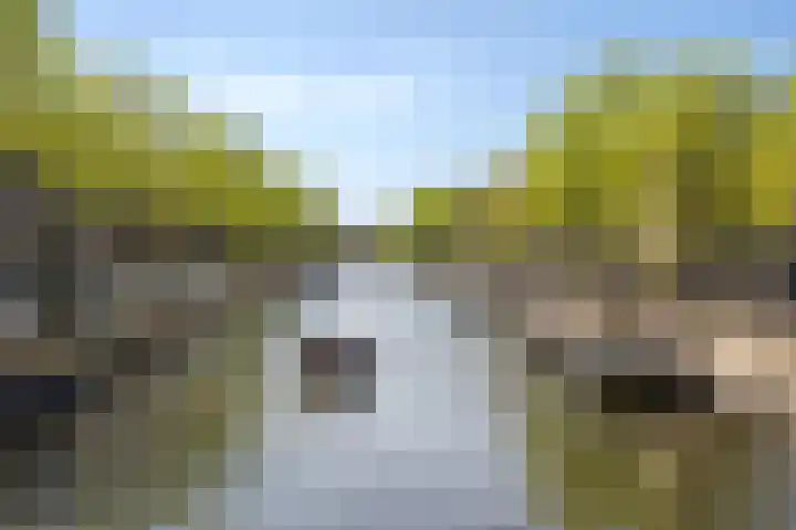 Wilhelminastraat 21 1 Amsterdam thumbnail 32