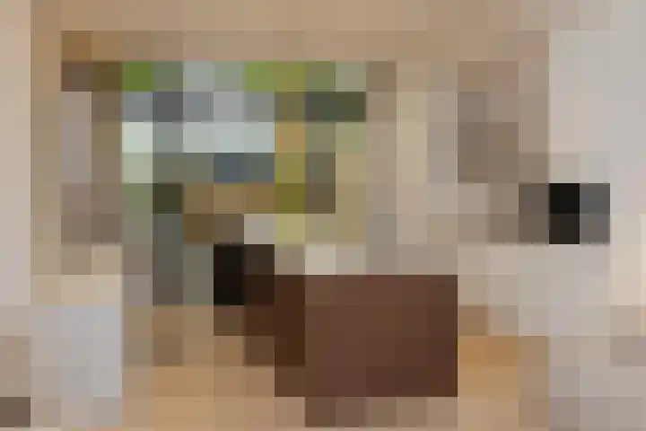 Wilhelminastraat 21 1 Amsterdam thumbnail 4