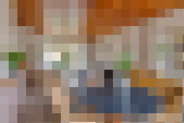 Wilhelminastraat 21 Aalten thumbnail 10