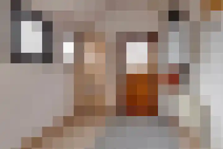 Wilhelminastraat 21 Aalten thumbnail 15