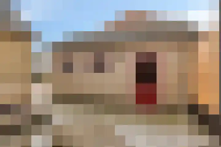 Wilhelminastraat 21 Aalten thumbnail 30