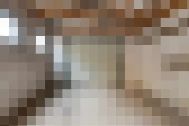 Wilhelminastraat 21 Aalten thumbnail 31