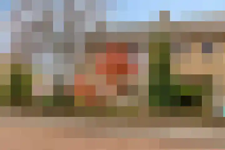 Wilhelminastraat 21 Aalten thumbnail 4