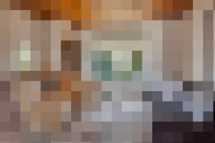 Wilhelminastraat 21 Aalten thumbnail 6