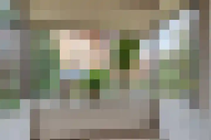 Wilhelminastraat 21 Aalten thumbnail 7