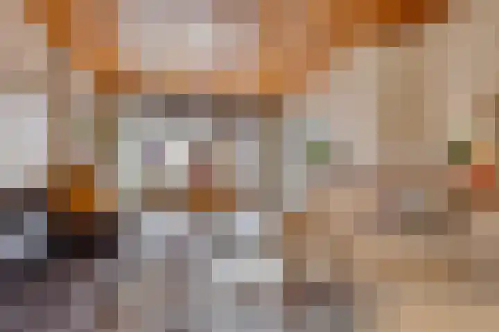 Wilhelminastraat 21 Aalten thumbnail 8