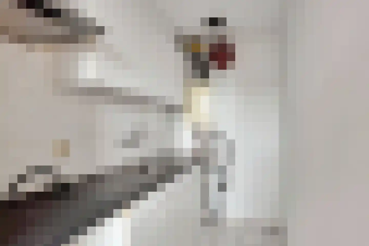 Wilhelminastraat 21 Arnhem thumbnail 25