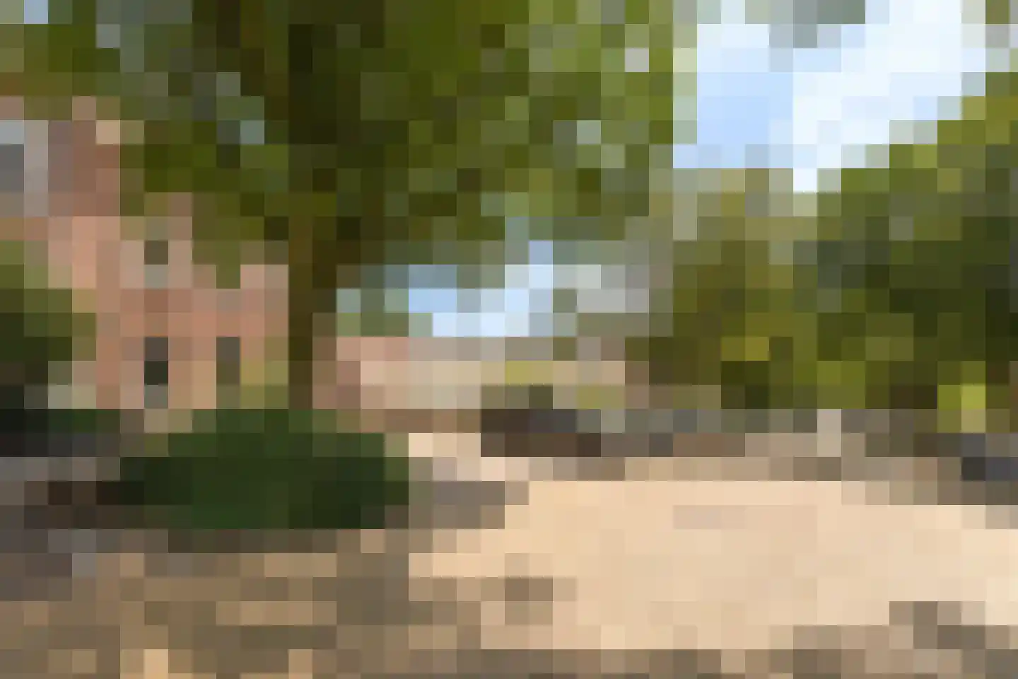 Wilhelminastraat 21 Arnhem thumbnail 26