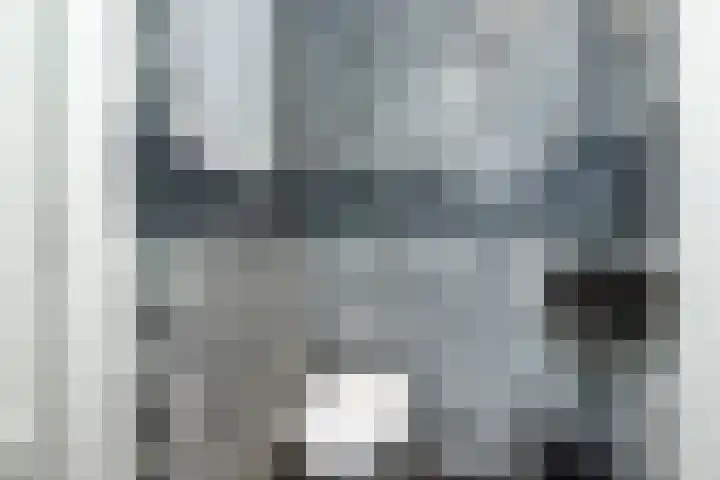 Wilhelminastraat 21 Hellevoetsluis thumbnail 15