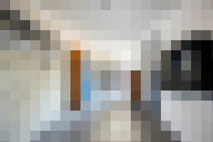 Wilhelminastraat 21 Made thumbnail 23