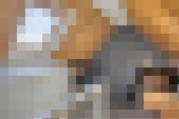 Wilhelminastraat 21 Made thumbnail 37
