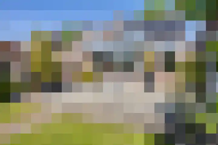 Wilhelminastraat 21 Made thumbnail 39
