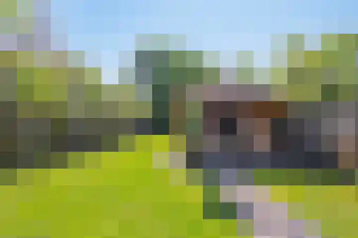 Wilhelminastraat 21 Made thumbnail 40