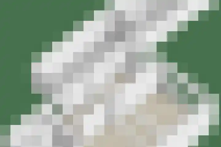 Wilhelminastraat 21 Made thumbnail 50