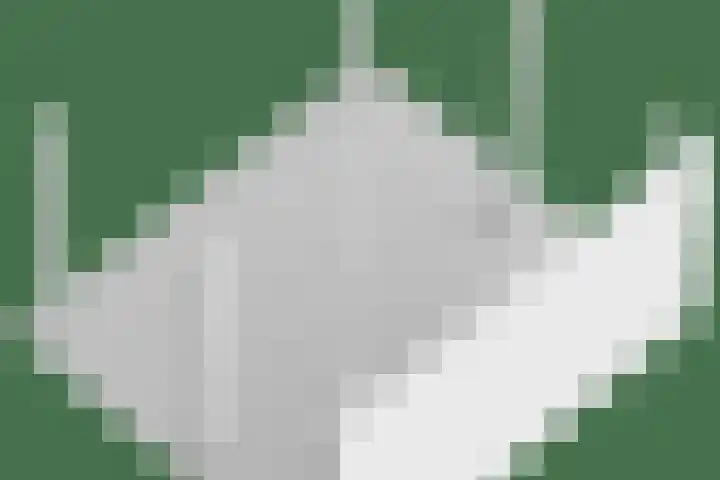 Wilhelminastraat 21 Made thumbnail 55