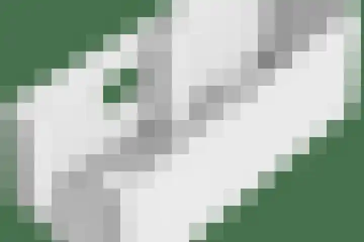 Wilhelminastraat 21 Made thumbnail 56