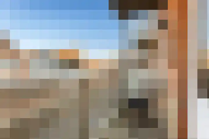 Wilhelminastraat 21 Vlissingen thumbnail 24