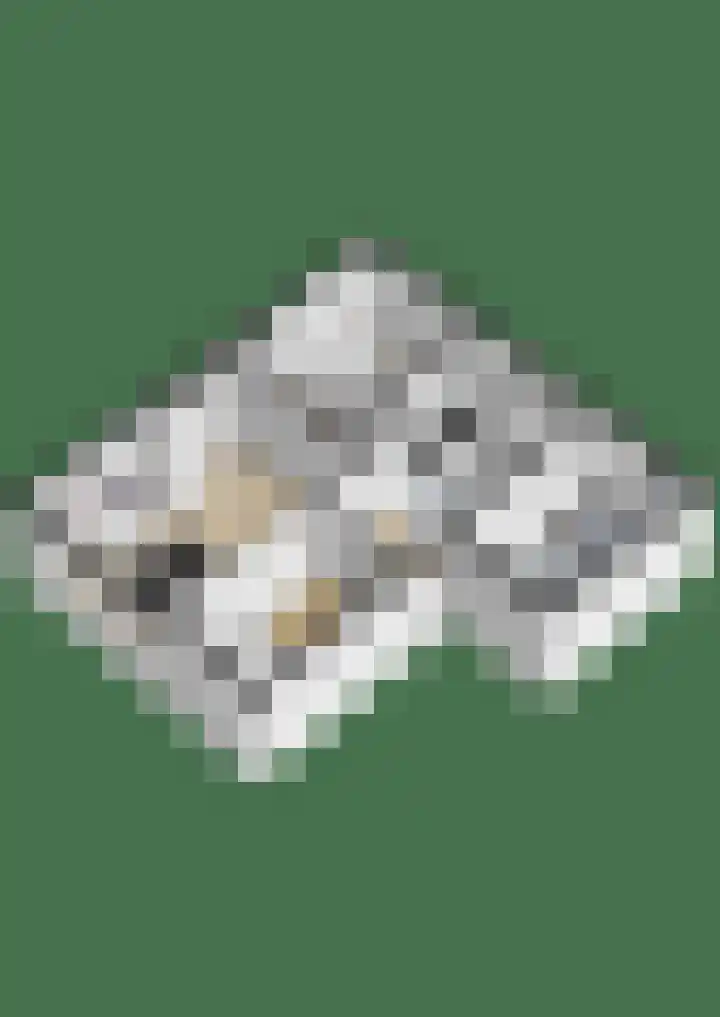 Wilhelminastraat 21 Vlissingen thumbnail 34