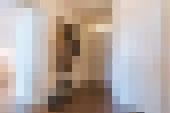 Wilhelminastraat 217 Uden thumbnail 11
