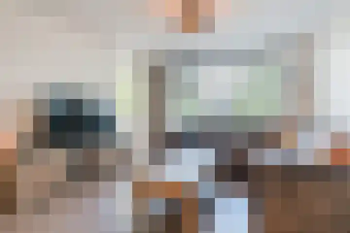 Wilhelminastraat 217 Uden thumbnail 14