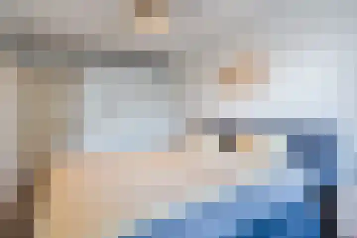 Wilhelminastraat 217 Uden thumbnail 22