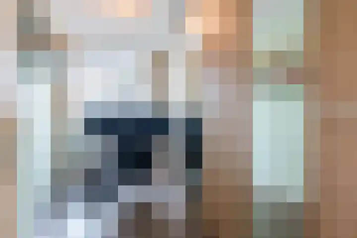Wilhelminastraat 217 Uden thumbnail 23
