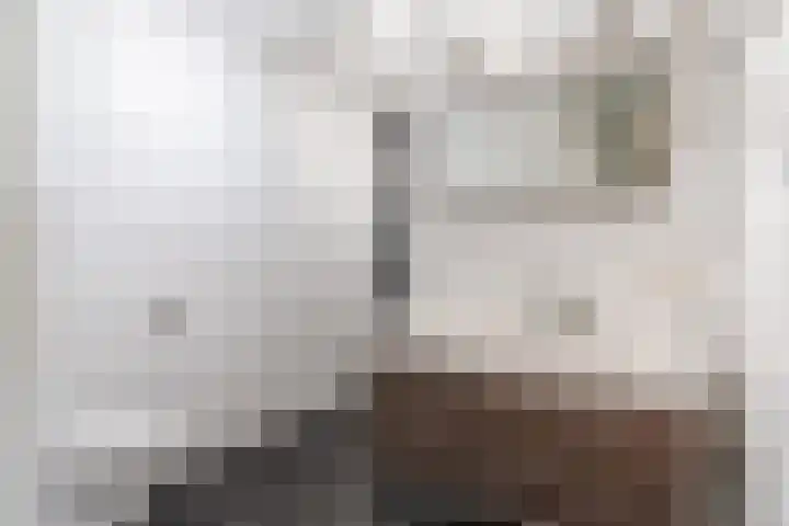 Wilhelminastraat 217 Uden thumbnail 24