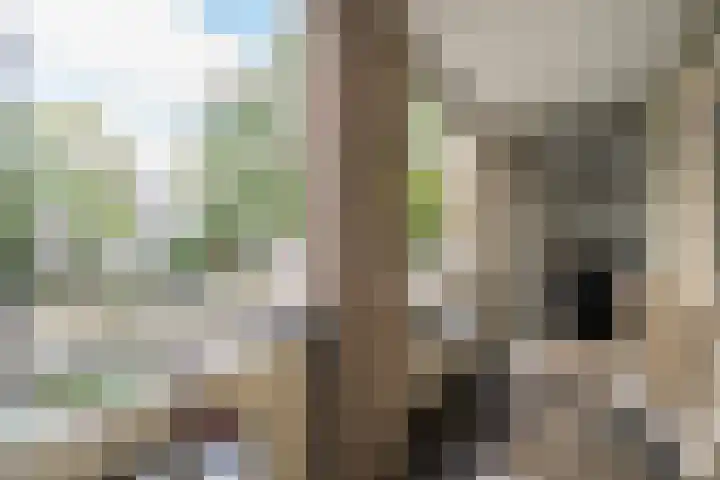 Wilhelminastraat 217 Uden thumbnail 28