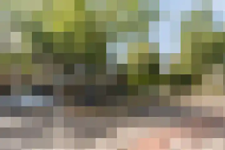 Wilhelminastraat 217 Uden thumbnail 30