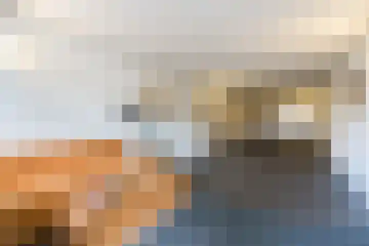 Wilhelminastraat 217 Uden thumbnail 7