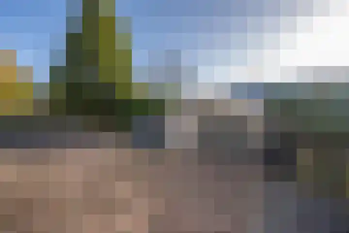 Wilhelminastraat 22 Beesd thumbnail 14