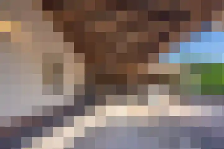 Wilhelminastraat 22 Beesd thumbnail 18