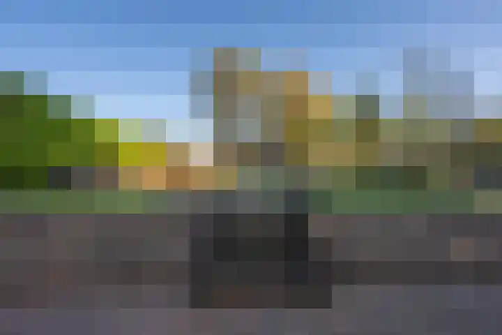 Wilhelminastraat 22 Beesd thumbnail 20