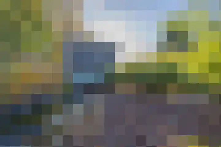 Wilhelminastraat 22 Beesd thumbnail 31