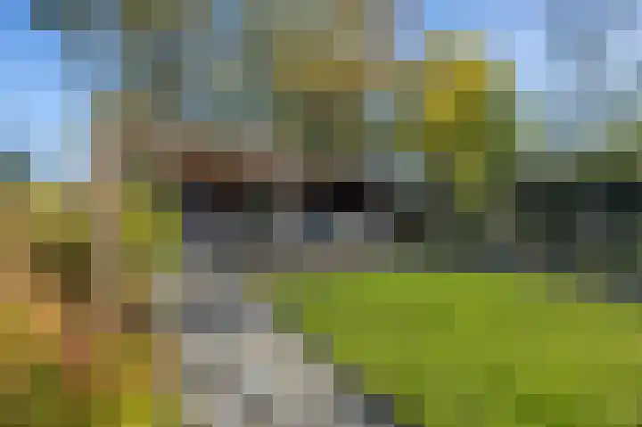 Wilhelminastraat 22 Beesd thumbnail 37