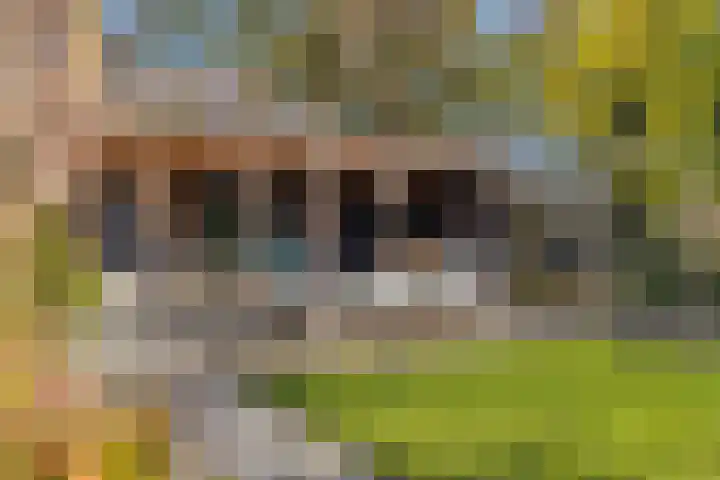 Wilhelminastraat 22 Beesd thumbnail 38