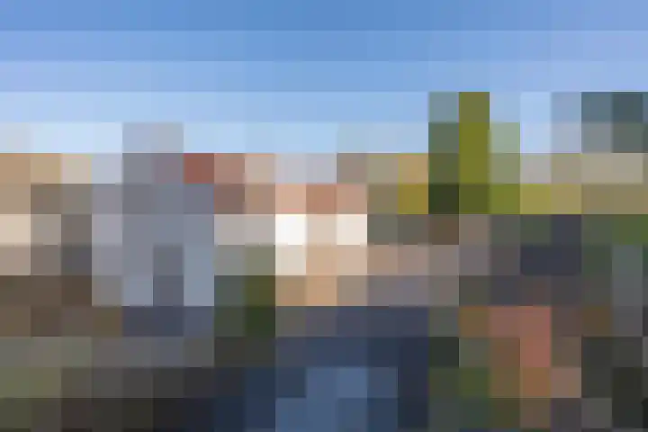 Wilhelminastraat 22 Beesd thumbnail 4