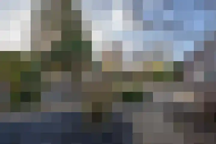 Wilhelminastraat 22 Beesd thumbnail 6