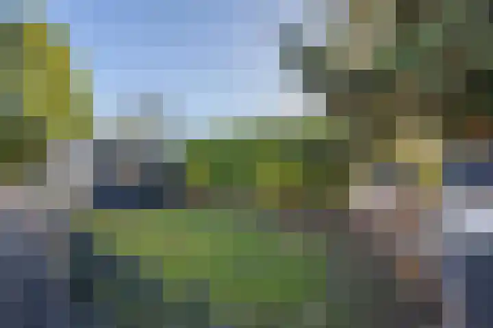 Wilhelminastraat 22 Beesd thumbnail 8