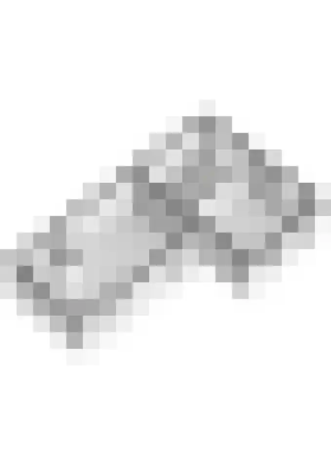 Wilhelminastraat 22 Beesd thumbnail 87