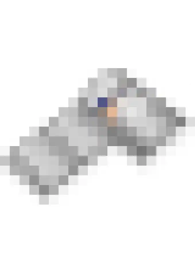 Wilhelminastraat 22 Beesd thumbnail 89