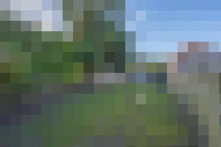 Wilhelminastraat 22 Beesd thumbnail 9