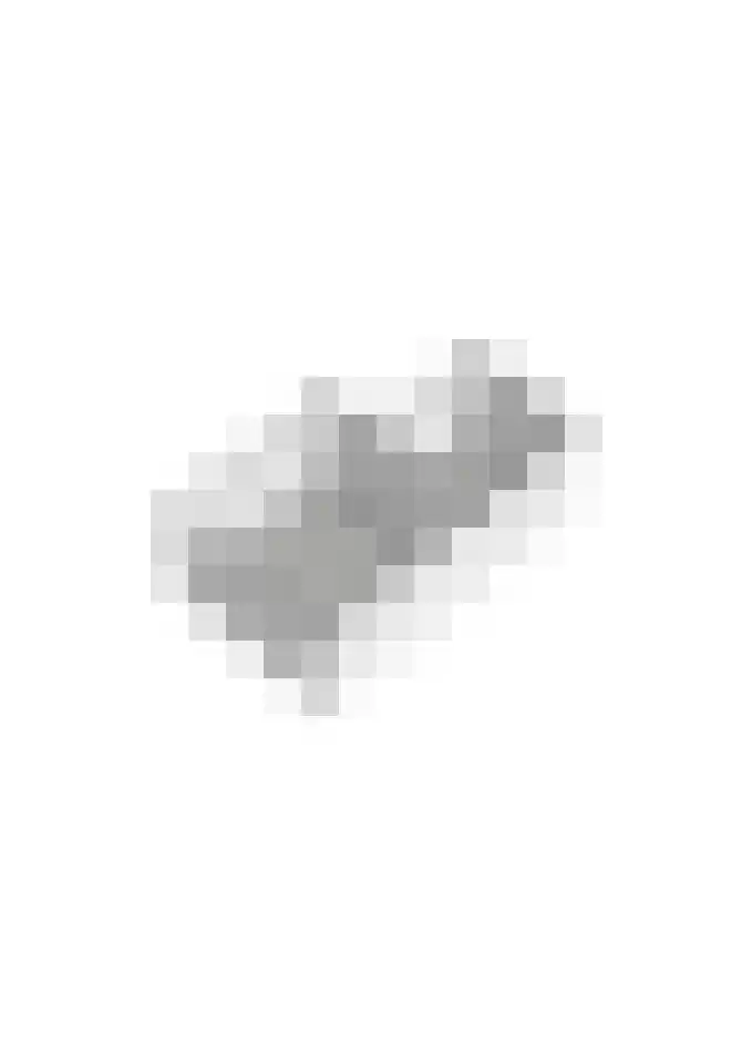 Wilhelminastraat 22 Beesd thumbnail 91