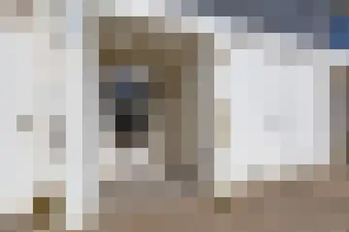 Wilhelminastraat 22 D Rijssen thumbnail 28