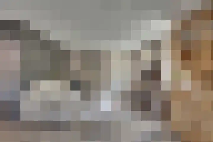 Wilhelminastraat 22 D Rijssen thumbnail 31